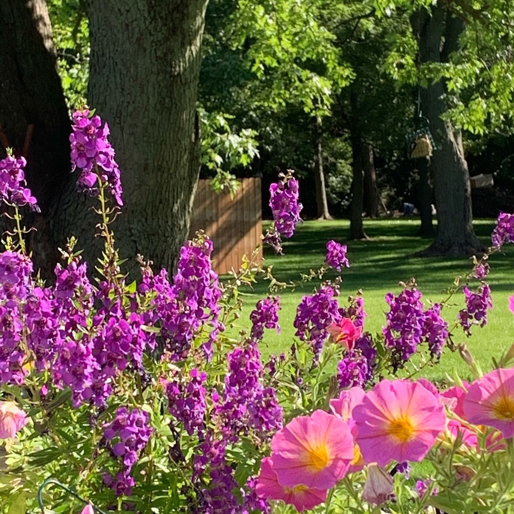 Welcome to my Closet! Offers welcome.